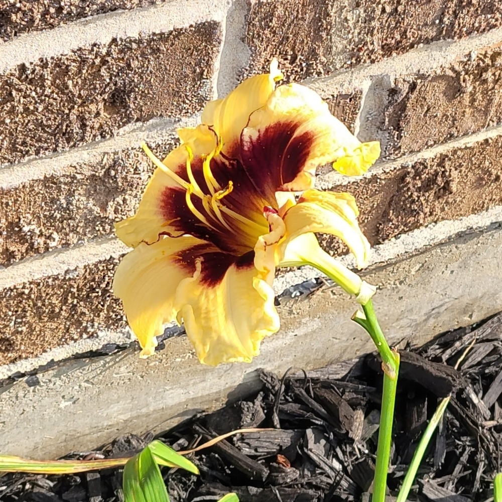 Meet your Posher, Paula